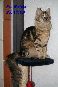 "Frau Balda"