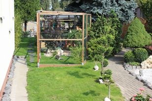 katzengarten katzengarten