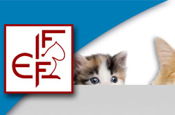 FIFE Katzenclub